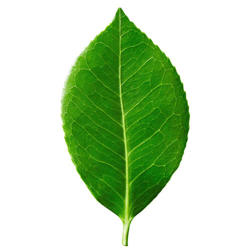 Лигносульфонат натрия